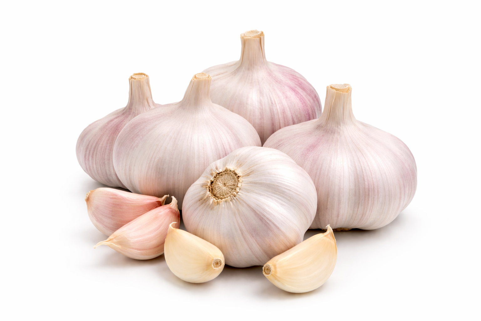 Garlic